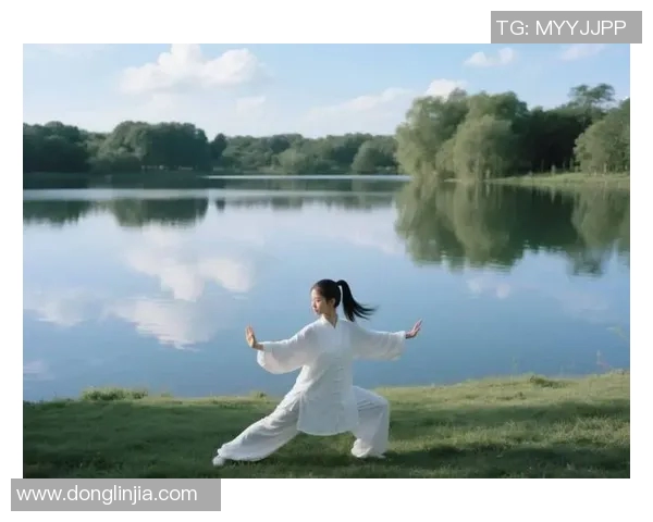 探索洪式太极拳视频的奥秘与技巧提升之路